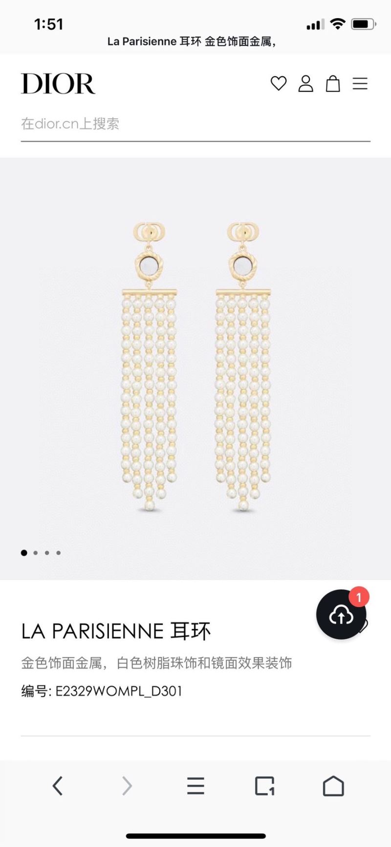 Christian Dior Earrings